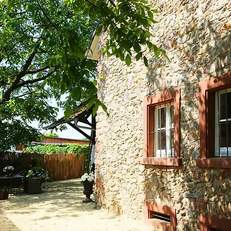 Annas Scheune Waldkirch Exterior photo
